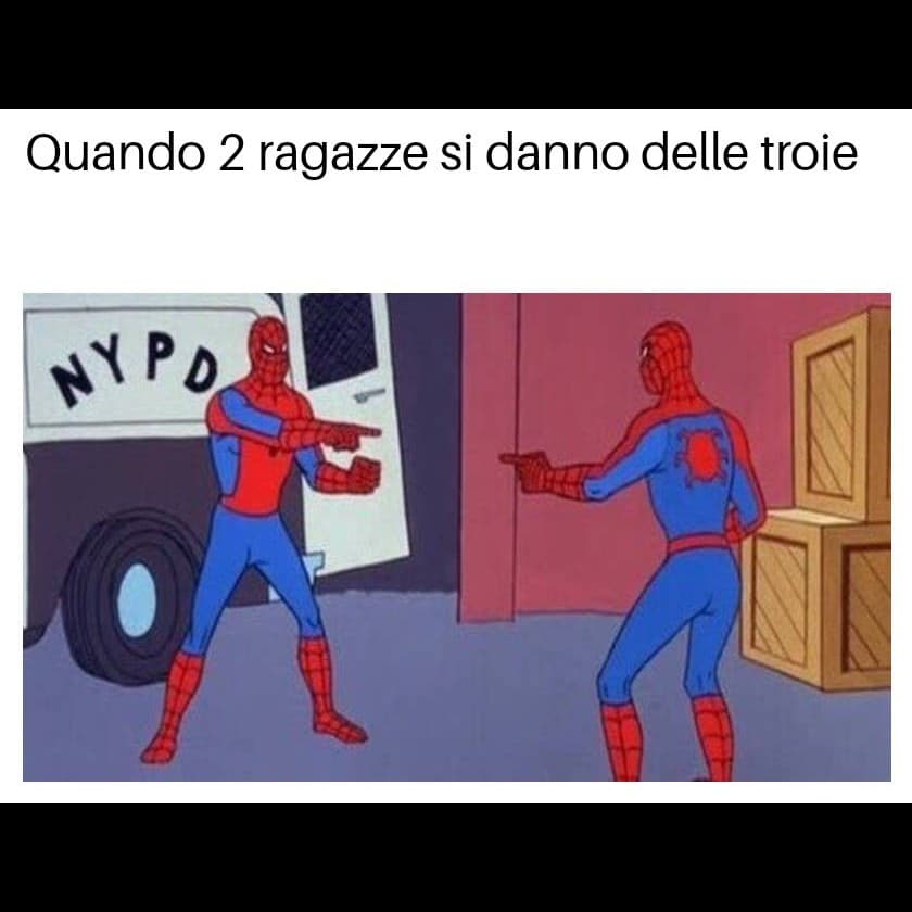 Femmine che si danno delle zoccole