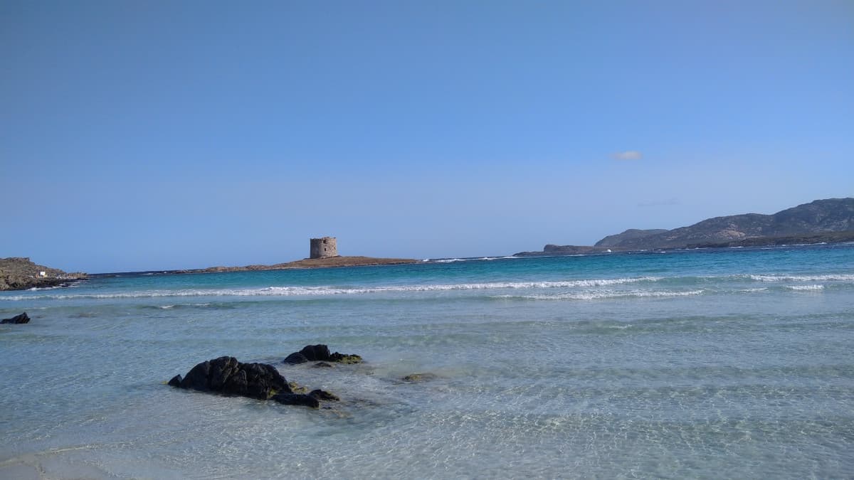 Spiaggia della Pelosa. Ringrazio i sardi per aver inventato i culurgiones