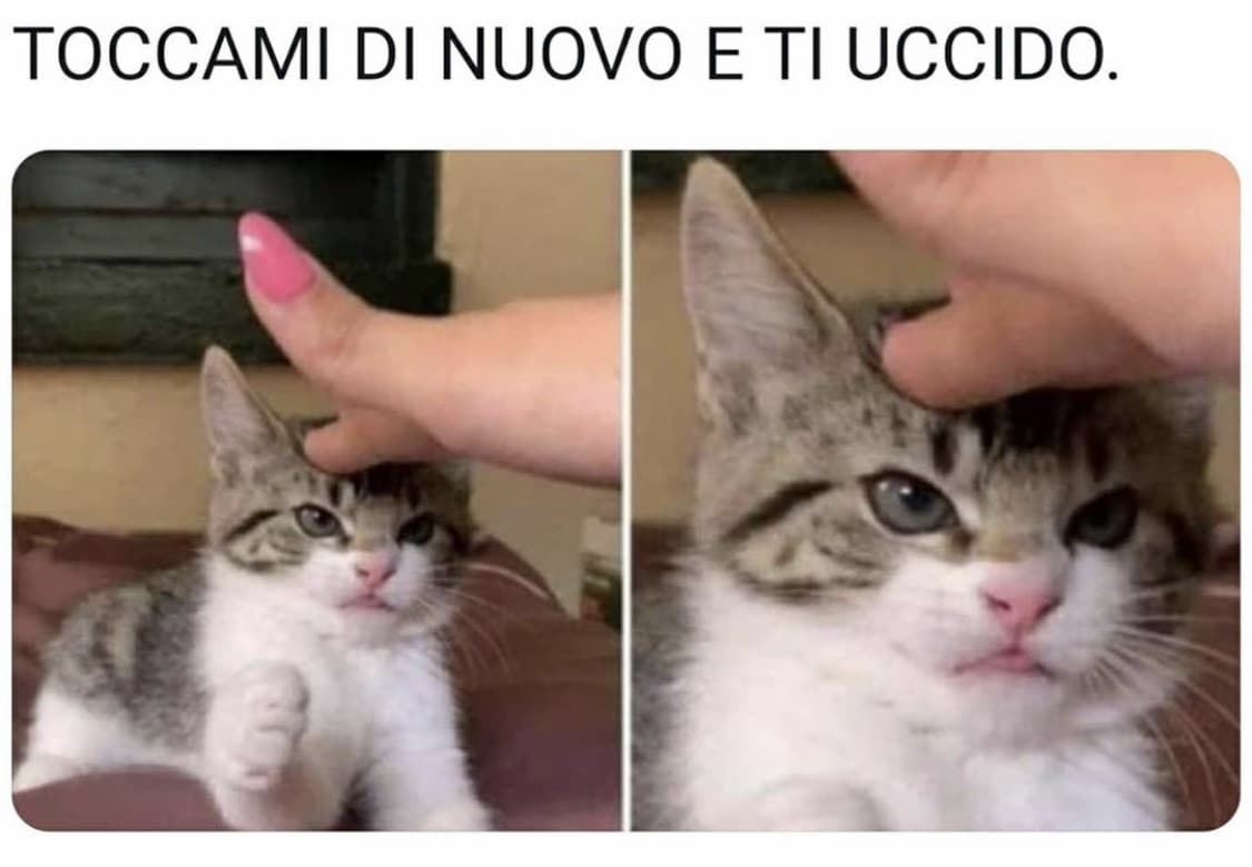 Io quando mi toccano i capelli 