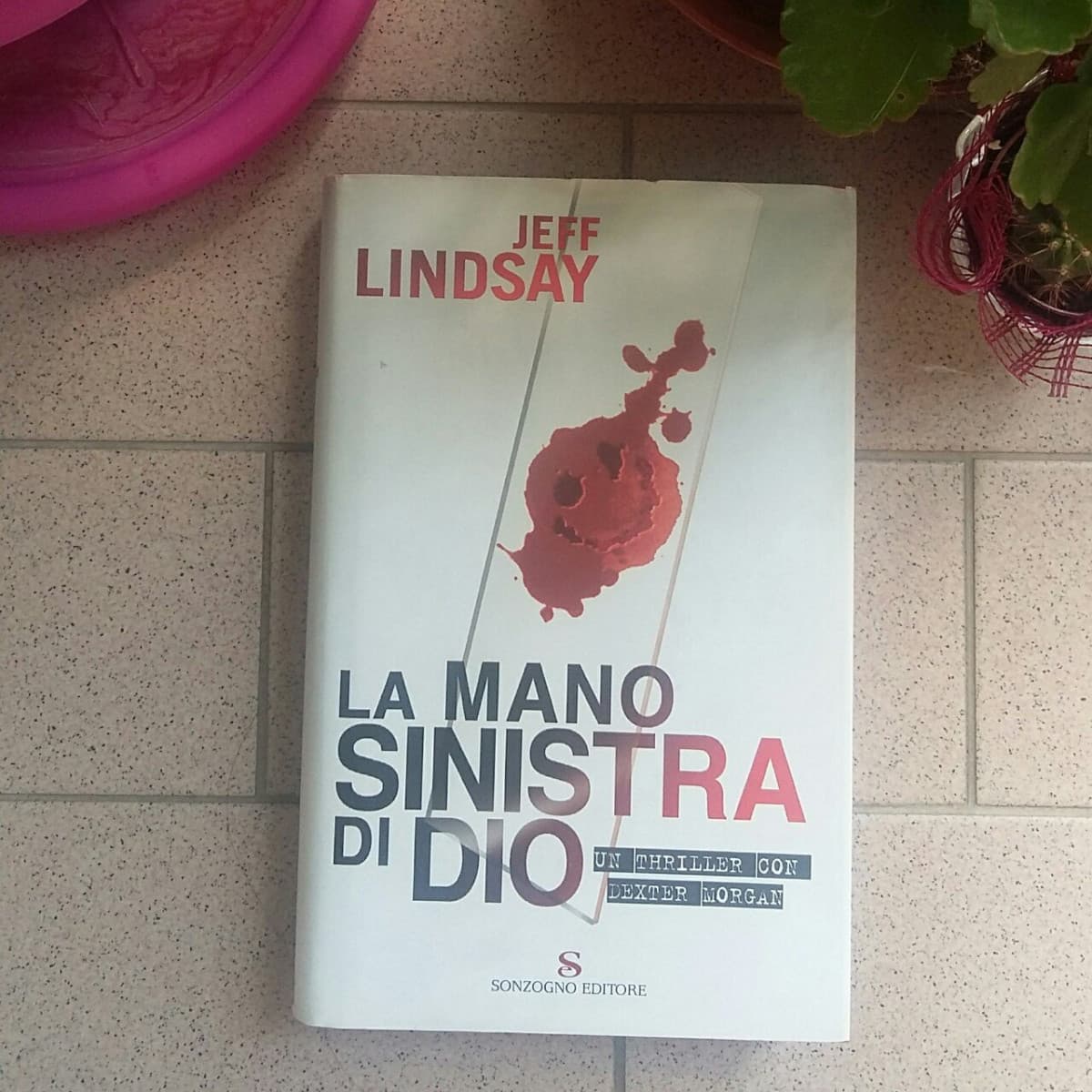 Come vorrei leggere questo libro?