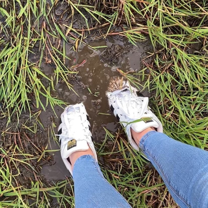 Dato che oggi in molti stanno uscendo le proprie scarpe ho deciso di farlo anche io (leggi descrizione)