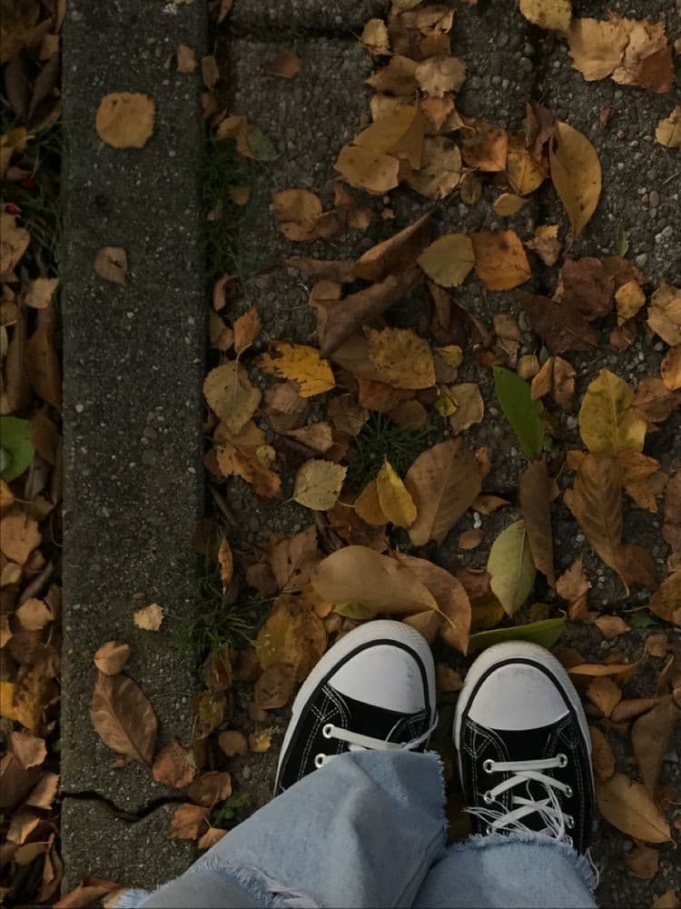 Oggi ho mangiato le castagnee. Finalmente l'autunno si fa sentiree nxbbcbcn