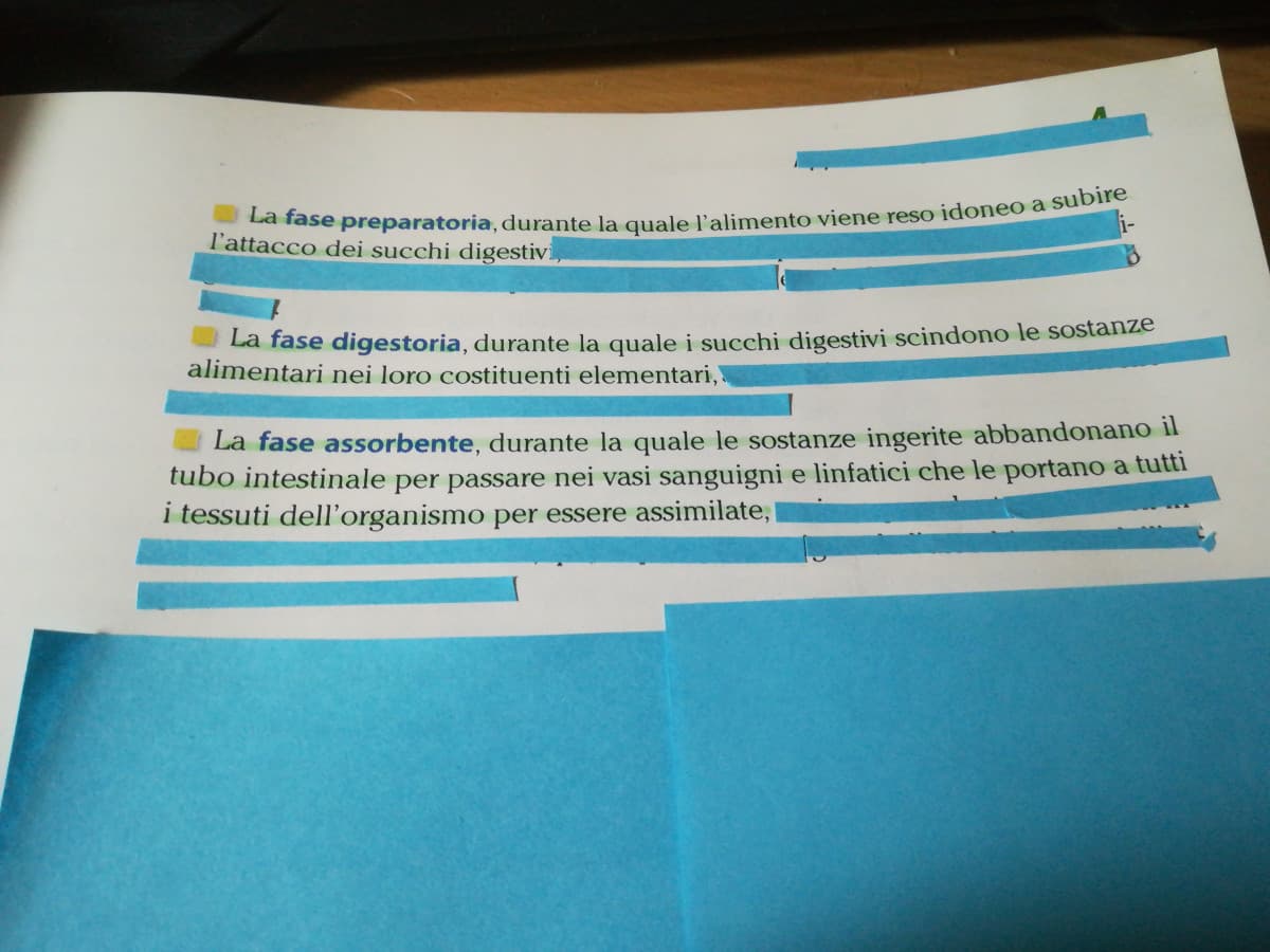 Io e la mia pigrizia (scusatemi se alcune immagini sono ruotate) 