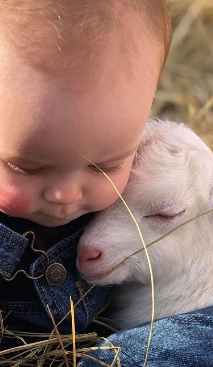 ora voglio un bambino è un capretta…