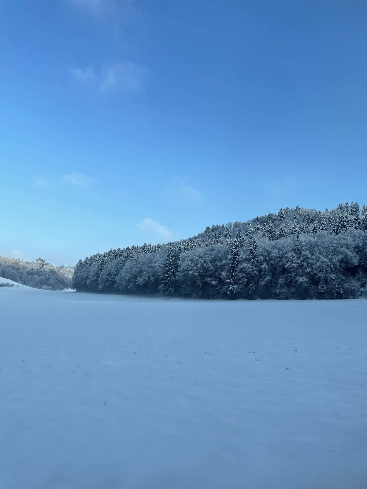 Il silenzio della neve