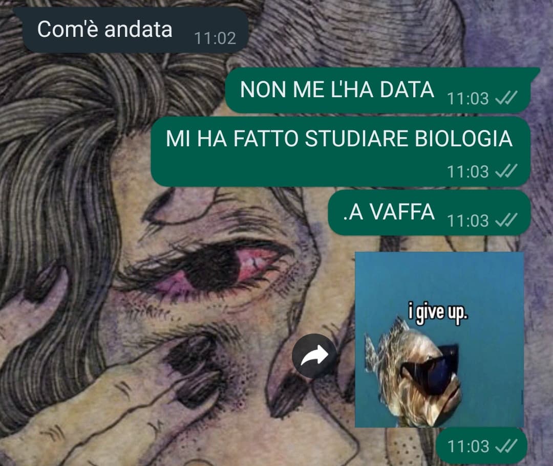 conversazioni medie tra me e mia sorella