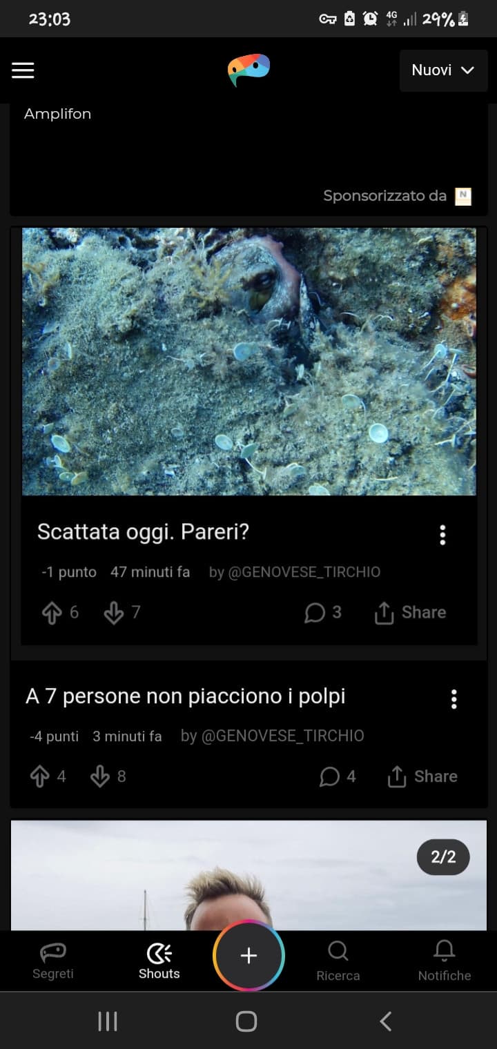 ma so io o in sta schermata c'è qualcosa che non quadra?