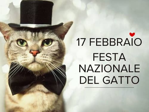 Auguri a tutti i gatti 🐈 🥳