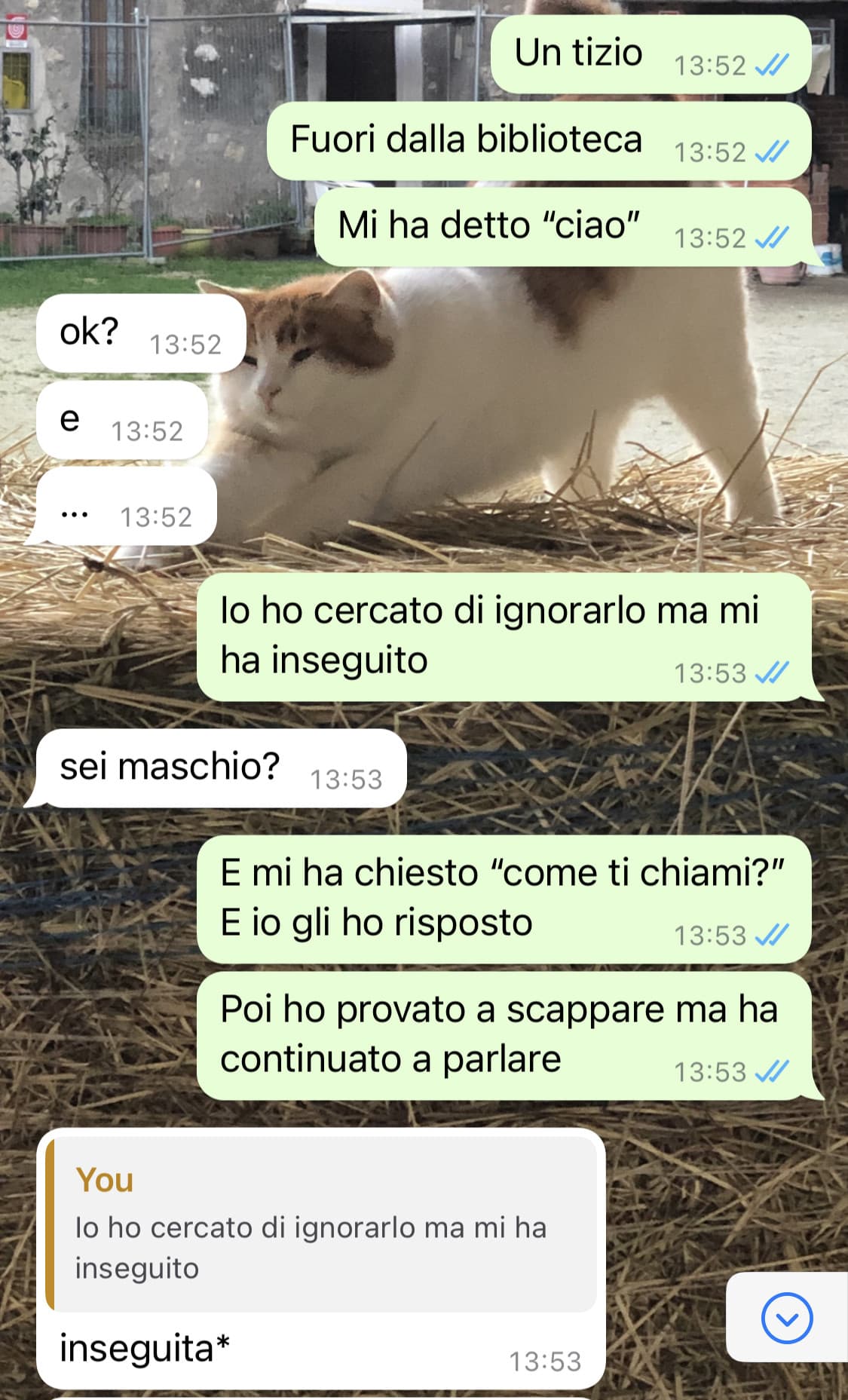 Cos’è strane 