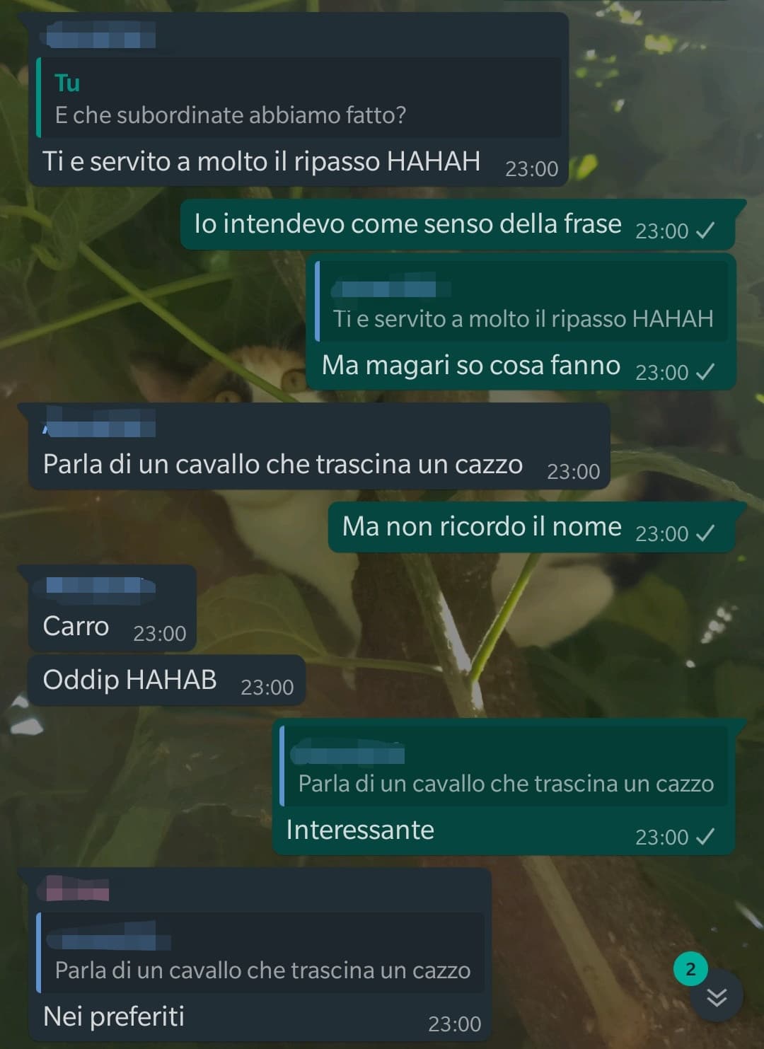 Intanto nel gruppo di classe