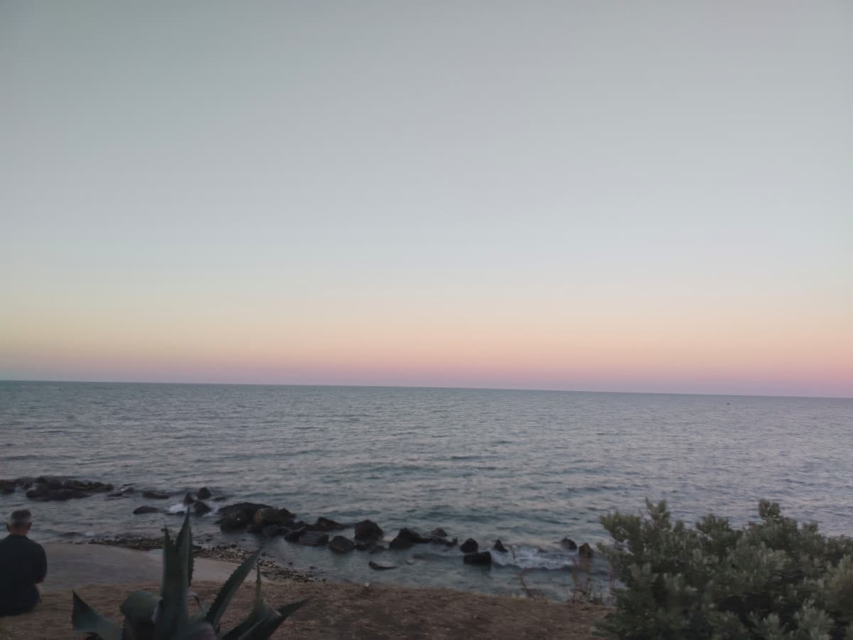 guardate che bello