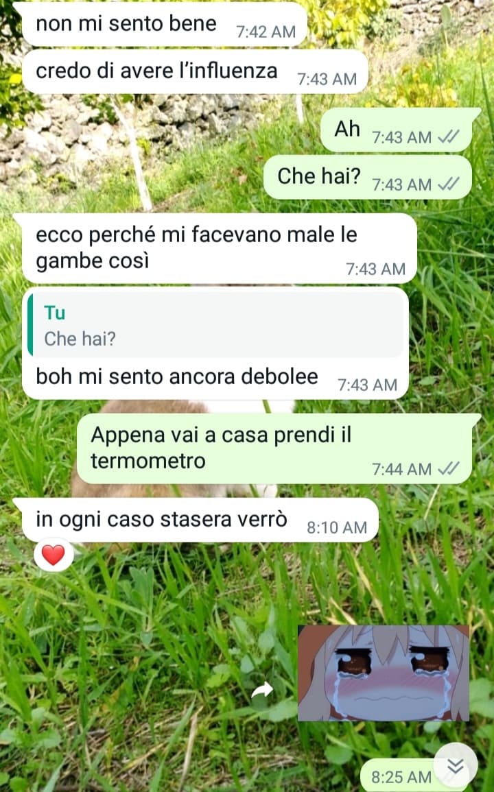 Dimmi che hai un ragazzo meraviglioso senza dirmelo: