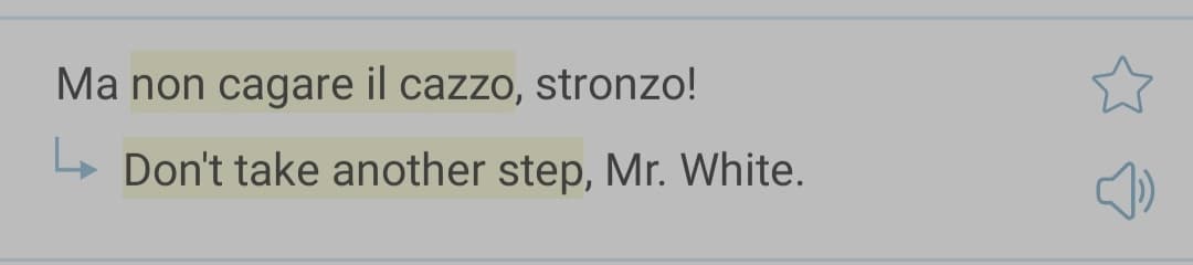 Volevo vedere se come si poteva tradurre "non cagare il cazzo" in inglese, mi é uscito questo