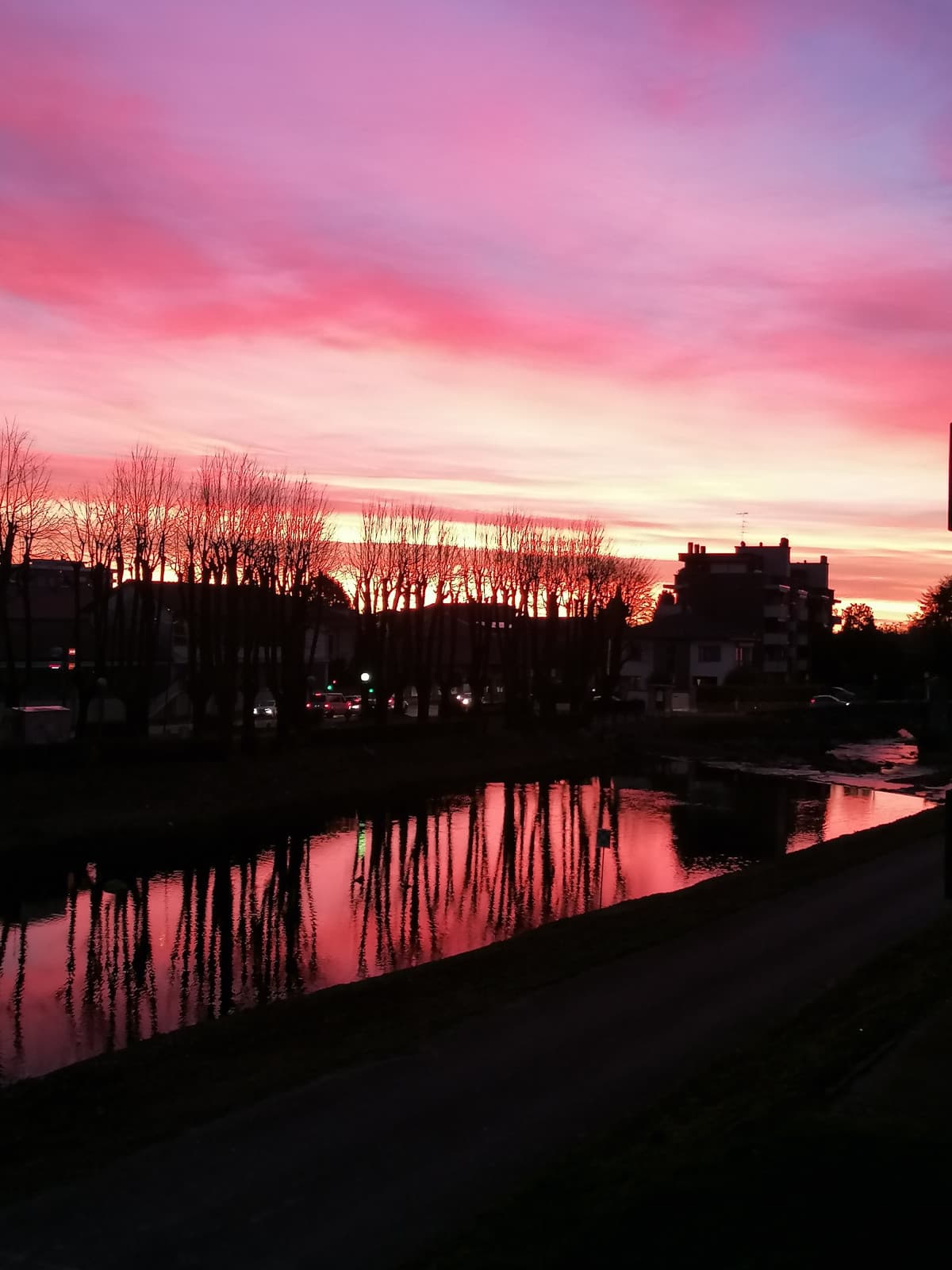 Un'alba carina