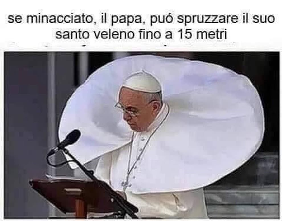 Allora era vero che il papa é un rettiliano.