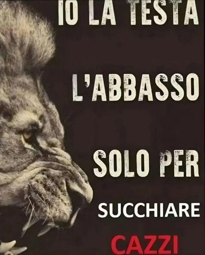 letteratura: non studiata
barba: non rasata
nn ho fatto un cazzo oggi stp buttando il mio tempo è ora di uccidermi