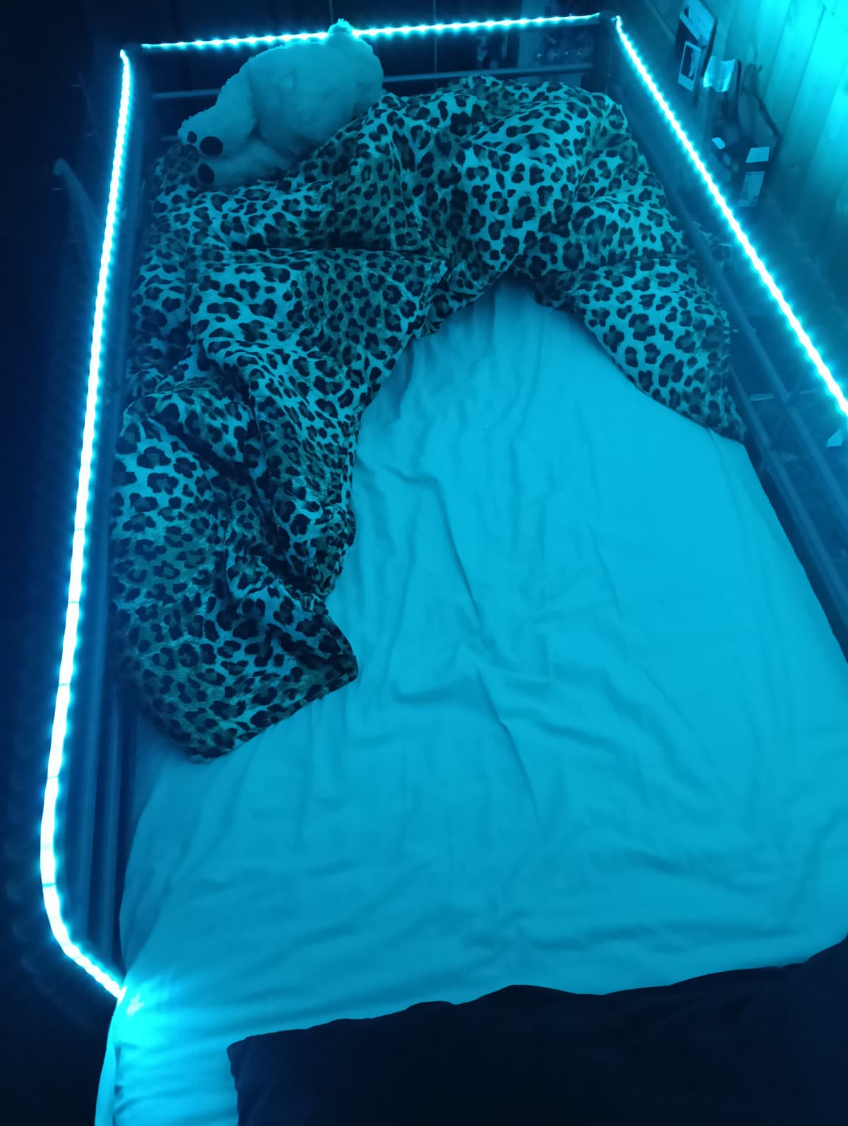 montato le led sul lettino 