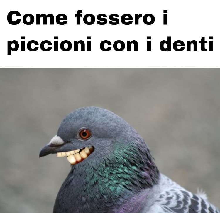 Avevo trovato sta foto e dovevo assolutamente farci un meme..