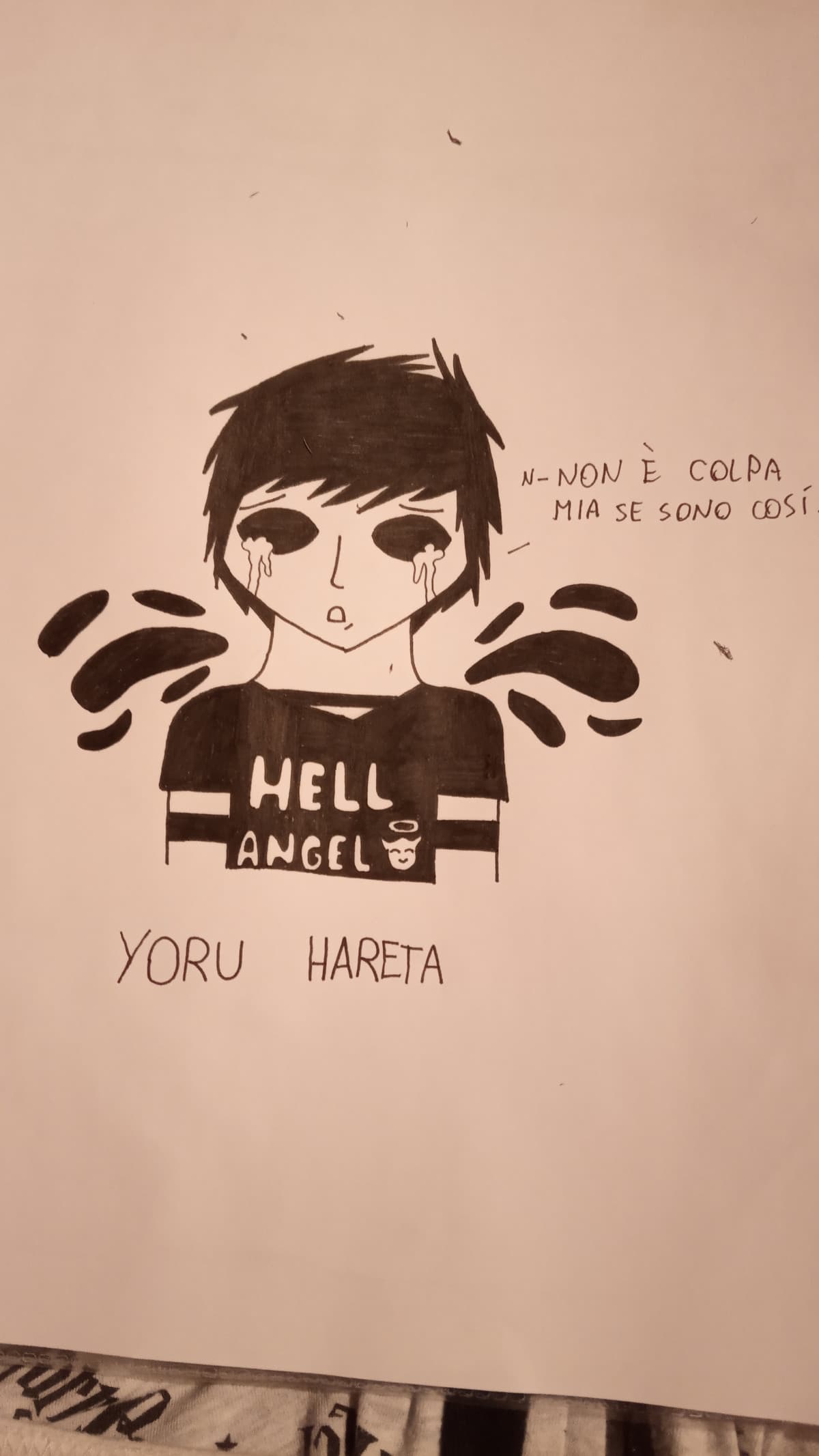 Ho visto dei disegni su insegreto che a mio parere erano stupendi, sembravano fatti da chi ha anni e anni d'esperienza... E poi ci sono io