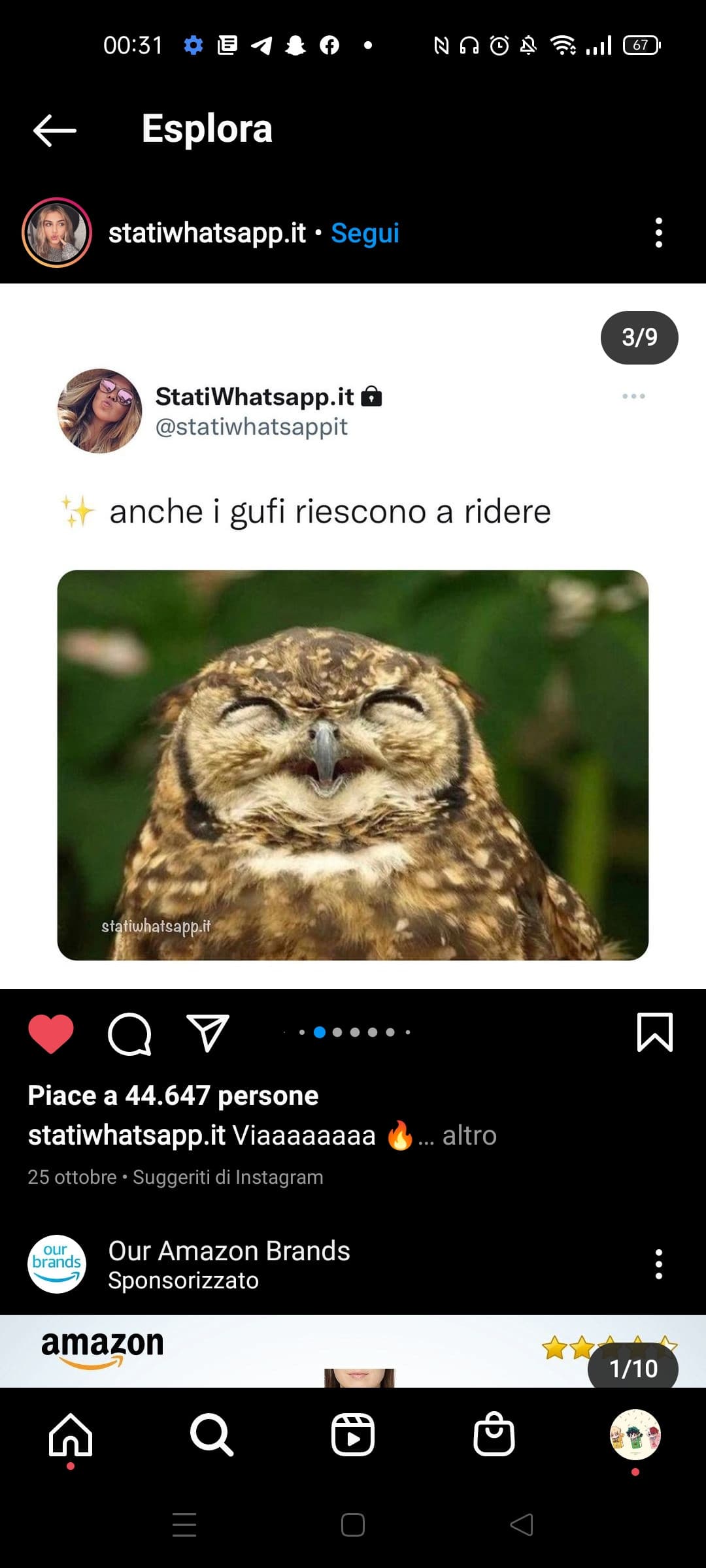 Raga, ho visto per la prima volta la foto di un gufo che ride