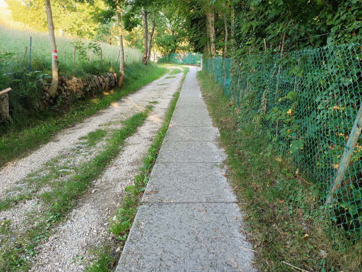 Quanto si sta bene fuori a passeggiare per tornare a casa