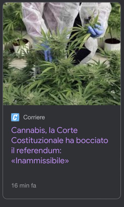 Hanno detto che il referendum avrebbe cambiato leggi riguardanti la coca, il papavero, e altre droghe pesanti lmao, ah si e ovviamente anche l’eutanasia non passa.