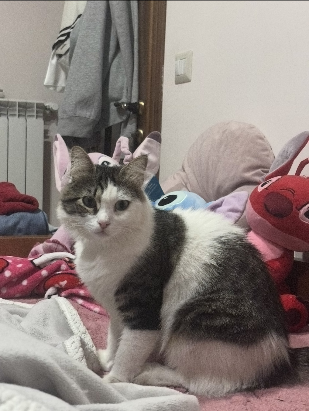 Ho sonno 