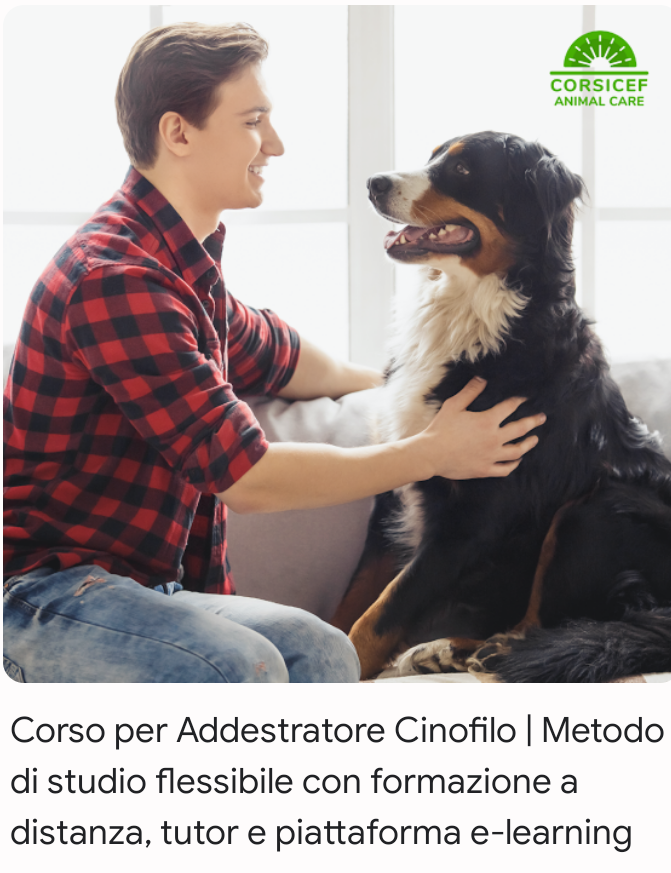 Io immagino l'addestratore via Skype: "allora il cane lo calmi così" Utente online con un Pitbull davanti ?