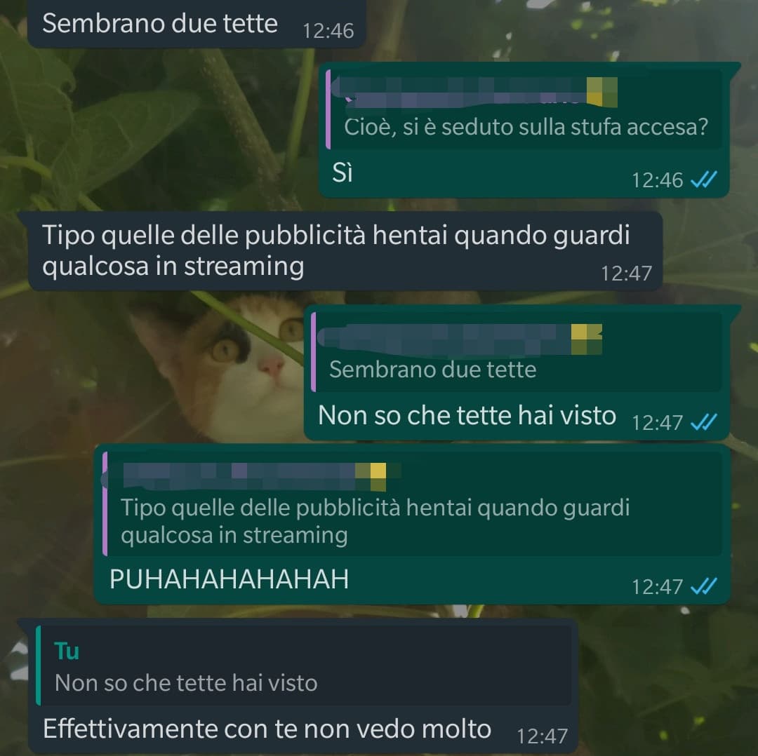 Allora, il figlio di mio cugino di è ustionato il culo sulla stufa e stavo commentando la cosa con @HoFameYe...