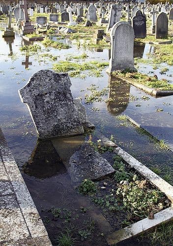 devo davvero essere cresciuto male per avere un atteggiamento xosi evitante ed antisociale. Posso capire che le oersone mi trovino antipatico quando non saluto mai