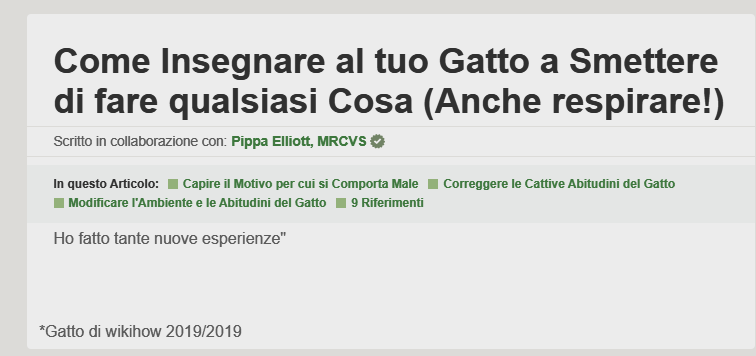 Yay, finalmente ho trovato la soluzione al problema con il mio gatto