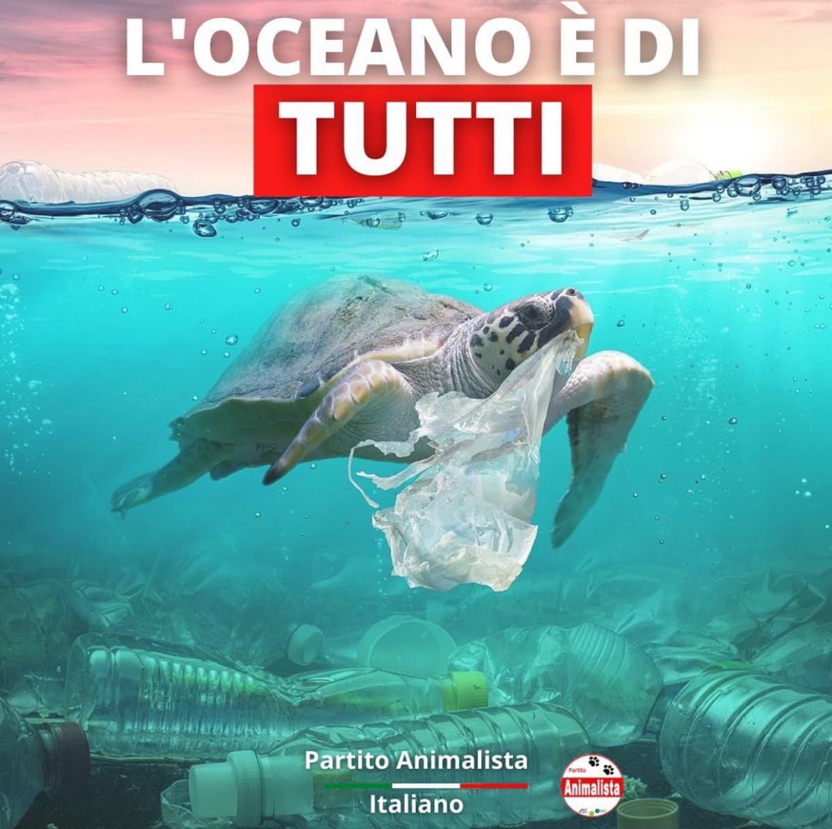 Sapevate che oggi è la giornata mondiale degli oceani? 