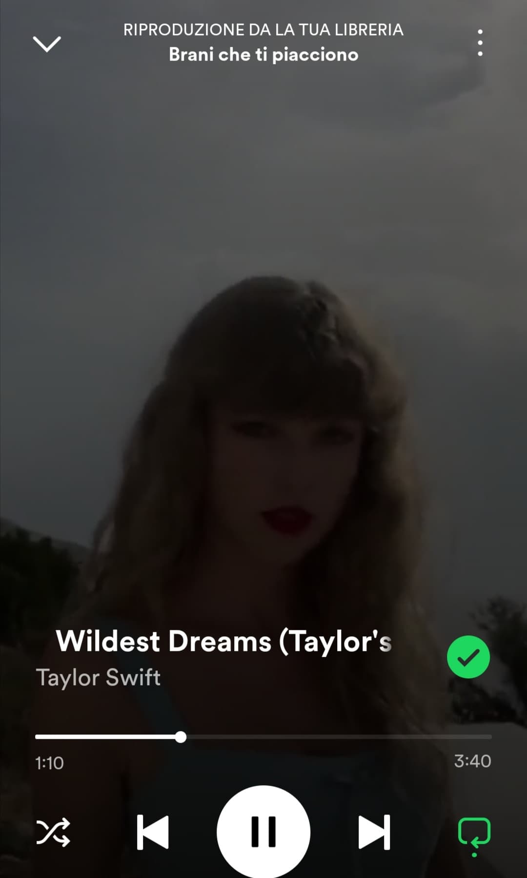 Questa è stata la mia prima canzone di Taylor, è così che l'ho scoperta. 