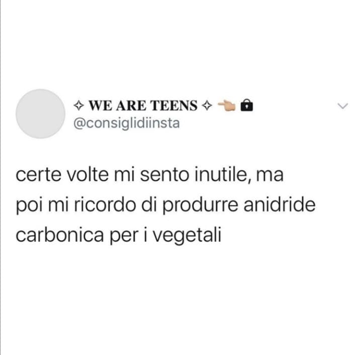 Serviamo tutti a qualcosa