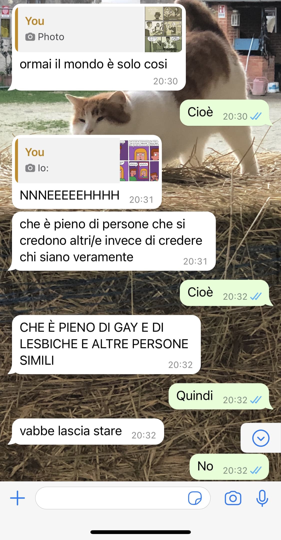 Non ce la posso fare, non penso di aver mai sentito qualcuno dire una cosa così stupida (descrizione).