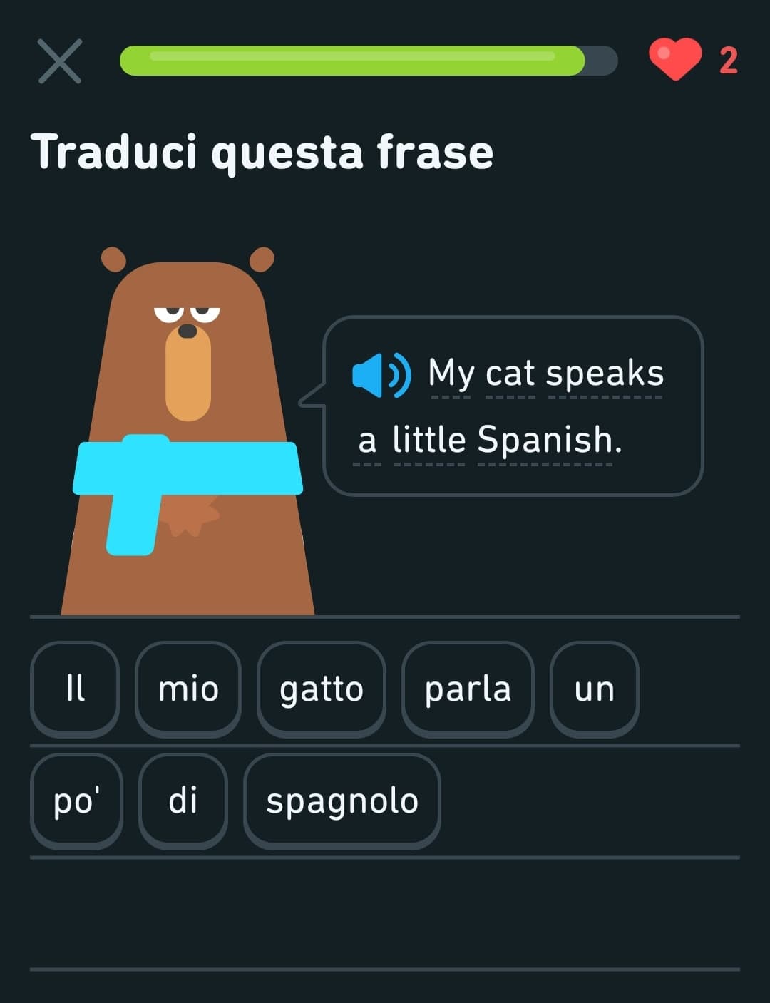 IL MIO GATTO COSA