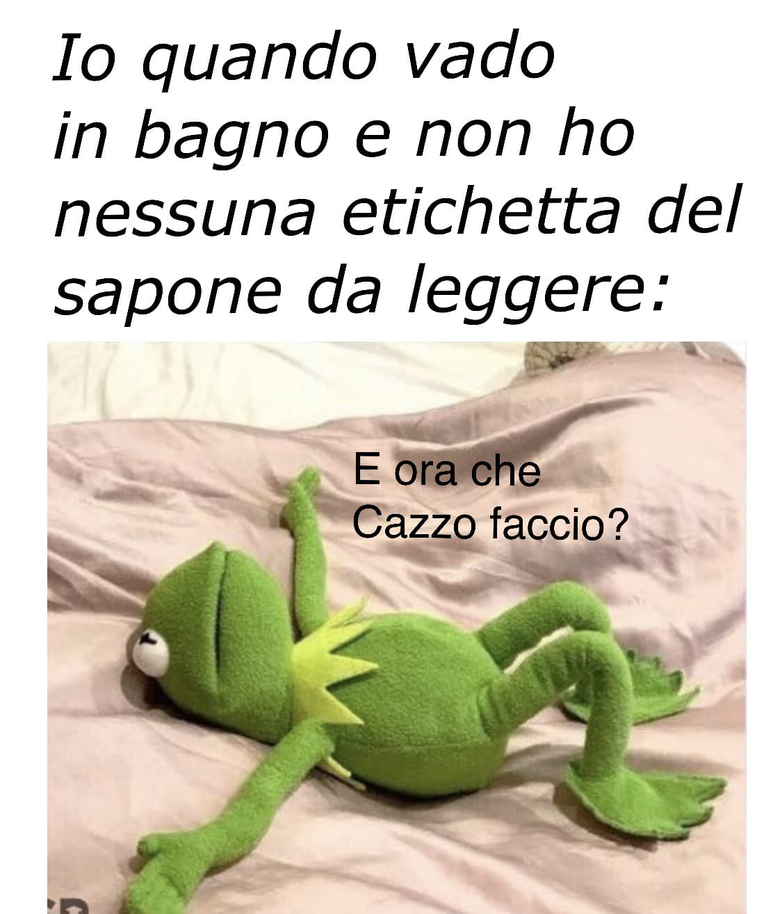 Meme mio