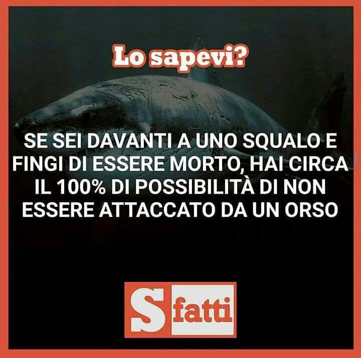 Non lo sapevo!