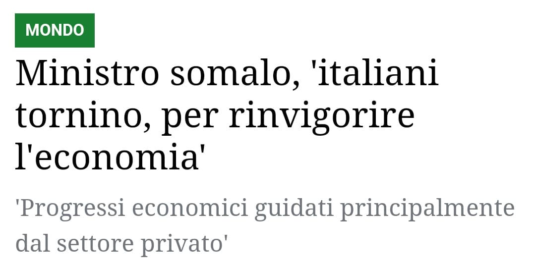 Non credo in un "Piano Marshall" africano, però...