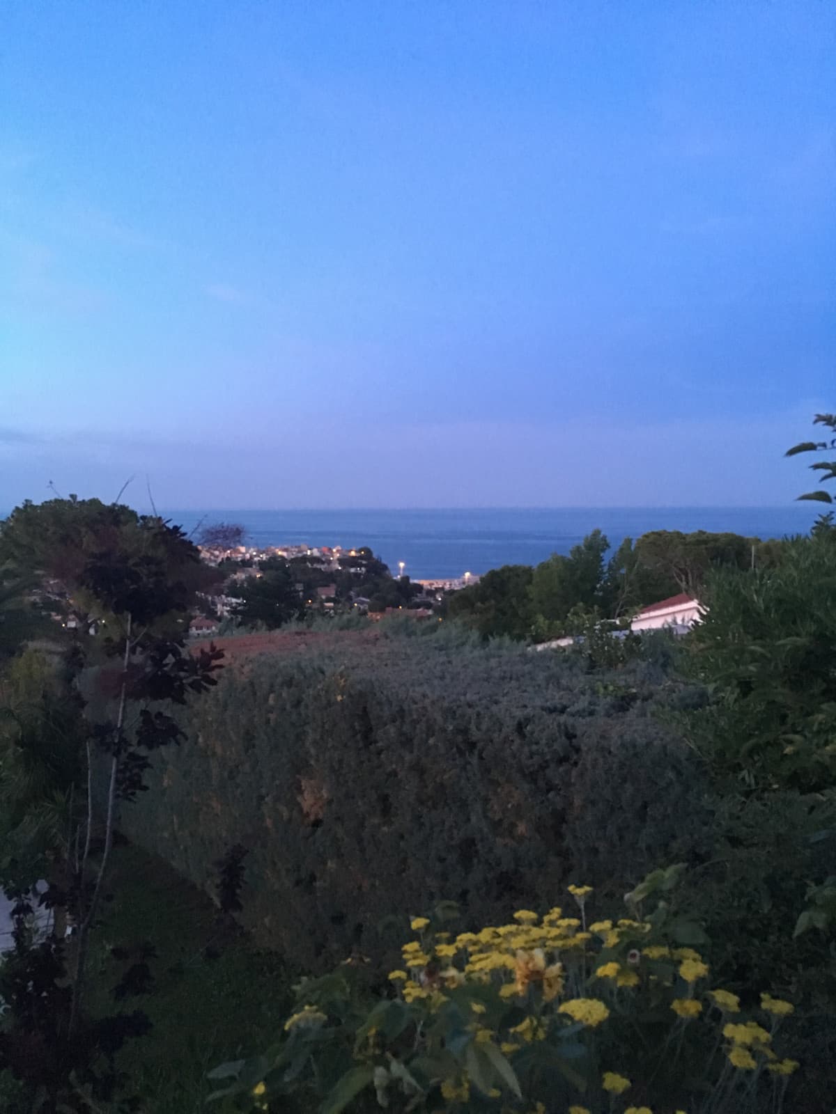 Sono strano lo so