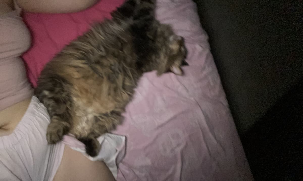 Gia fa caldo e sta pecora mi dorme addosso…