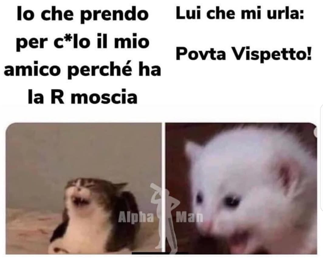 R moscia a voi piace?
