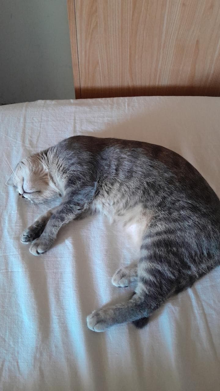 Si ok, però qui ci dormivo io...