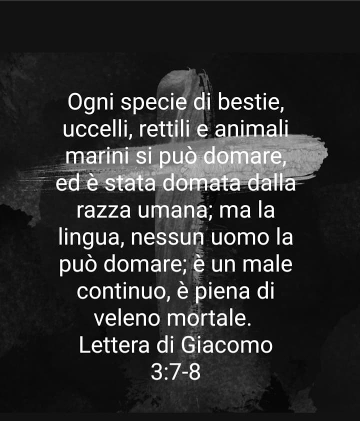 Su insegreto c'è un sacco di roba di tutti gli argomenti possibili...Così ho pensato che una volta al giorno potrei pubblicare versetti,anche se a voi non interessa niente o siete di un'altra religione (ho scoperto che ci stanno pure satanisti ?) potete sk