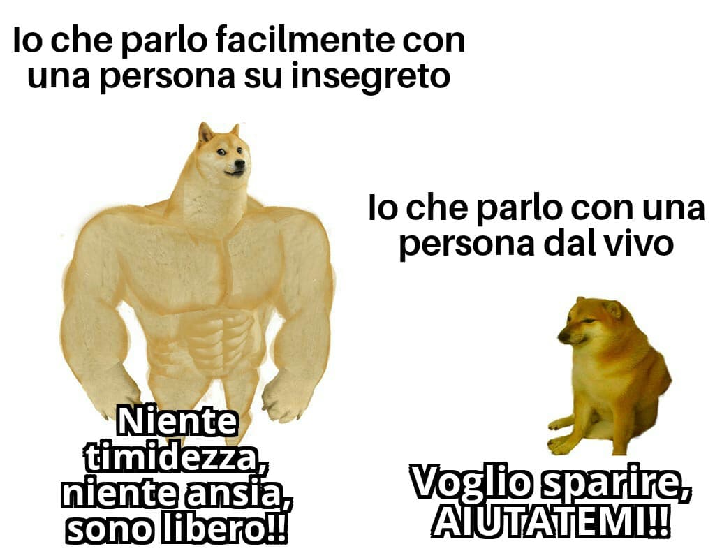 Quanto è vero ?