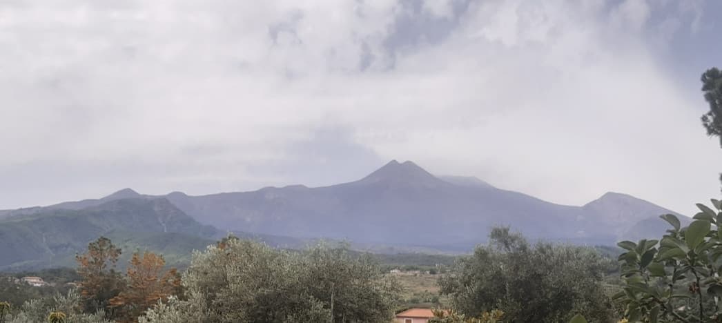 Oggi devo andare all'università ma non ne ho voglia