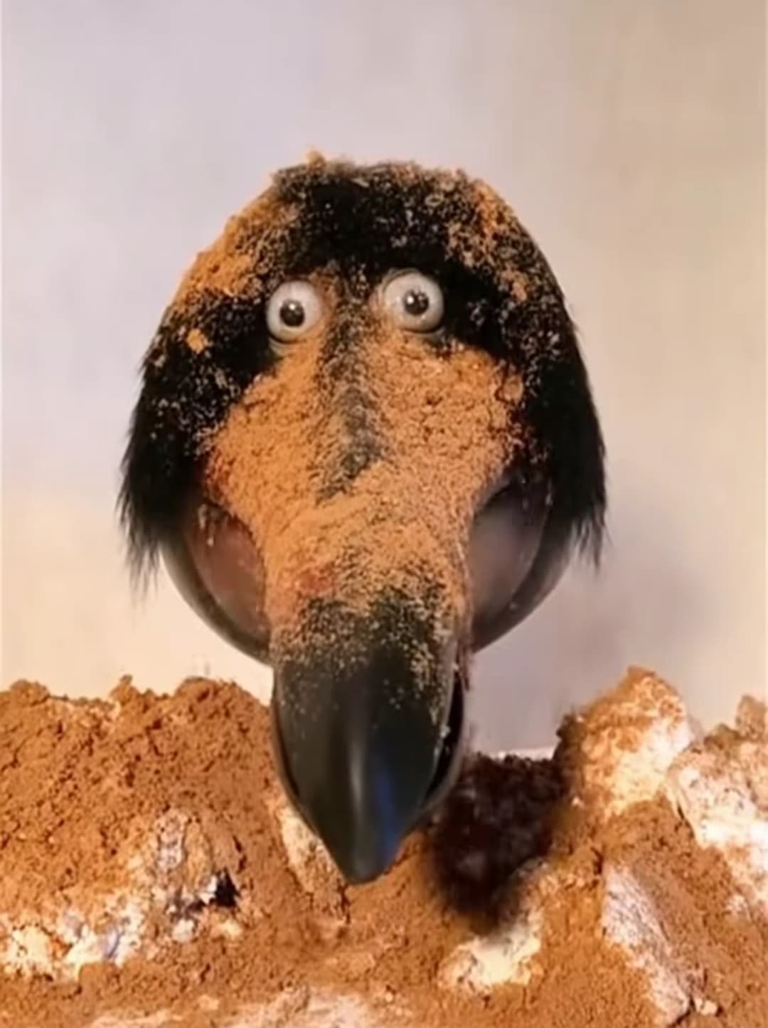 Si