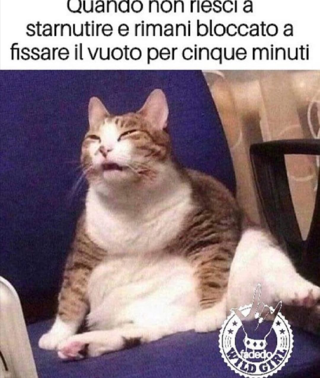 Raga troppo vero