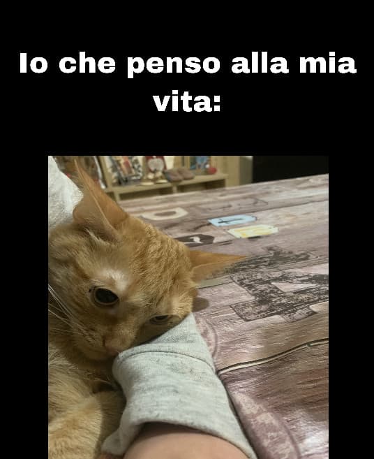 La vita