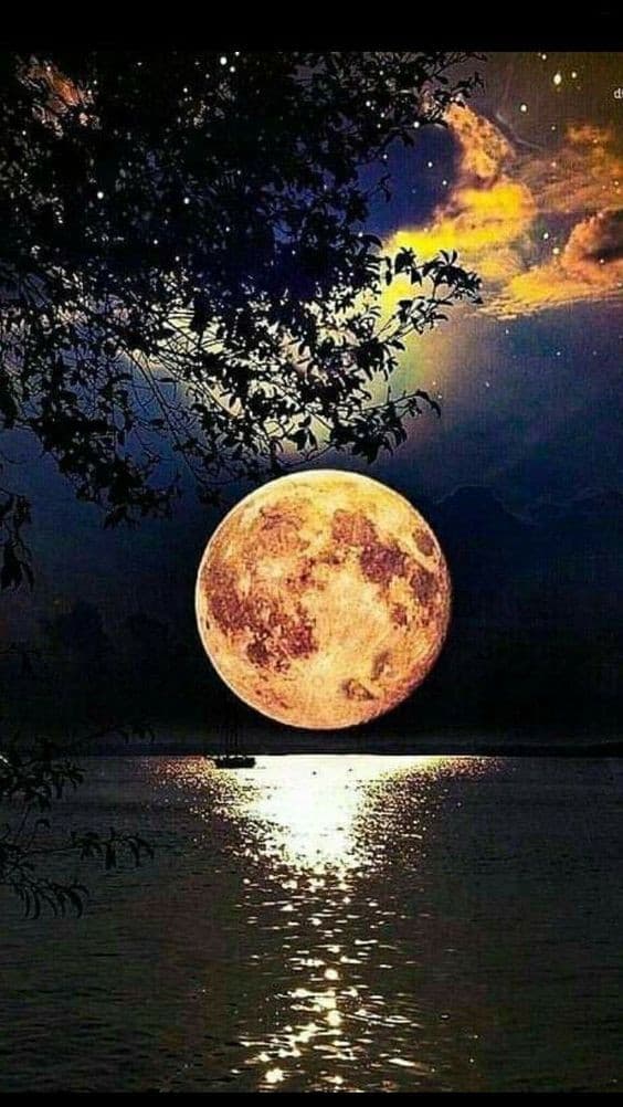 Buonanotte
